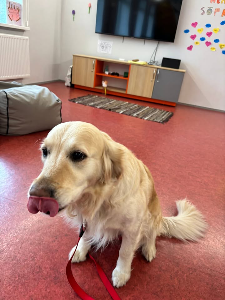 Kambja pere- ja noortekeskus