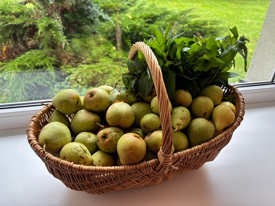 Kambja pere- ja noortekeskus